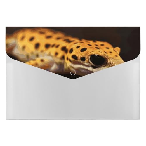 Leopard Little Gecko Aktenordner, Organizer, langlebig, mit 6 Fächern, Ordner für Aktenschrank, Büro, Lebenslauf-Portfolio Leopard Little Gecko Aktenordner, Organizer, langlebig, mit 6 Fächern, Ordner für Aktenschrank, Büro, Lebenslauf-Portfolio von DWTJKMS