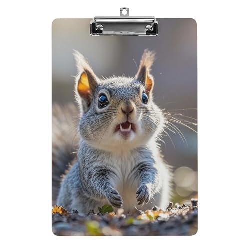 Lustiges, niedliches Eichhörnchen-Klemmbrett aus Acryl, niedlich, modisch, dekorativ, 31,8 x 21,6 cm, Standard-A4-Größe, Acryl-Clip für Klassenzimmer, Lehrer, Bürobedarf Lustiges, niedliches Eichhörnchen-Klemmbrett aus Acryl, niedlich, modisch, dekorativ, 31,8 x 21,6 cm, Standard-A4-Größe, Acryl-Clip für Klassenzimmer, Lehrer, Bürobedarf von DWTJKMS