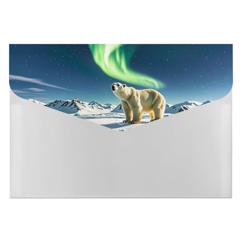 Northern Lights Aktenordner mit Eisbär, langlebig, mit 6 Fächern, Ordner für Aktenschrank, Büro, Lebenslauf-Portfolio Northern Lights Aktenordner mit Eisbär, langlebig, mit 6 Fächern, Ordner für Aktenschrank, Büro, Lebenslauf-Portfolio von DWTJKMS
