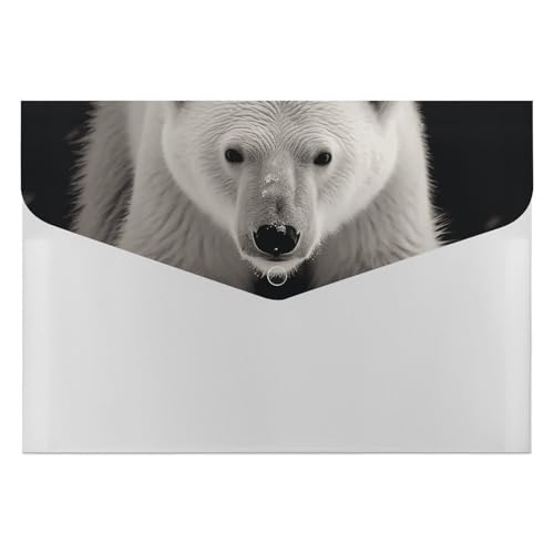Polar Bear Aktenordner, Organizer, langlebig, mit 6 Fächern, Ordner für Aktenschrank, Büro, Lebenslauf-Portfolio Polar Bear Aktenordner, Organizer, langlebig, mit 6 Fächern, Ordner für Aktenschrank, Büro, Lebenslauf-Portfolio von DWTJKMS