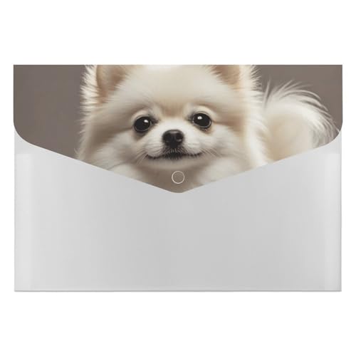 Pomeranian Hunde-Aktenordner, Organizer, langlebig, mit 6 Fächern, Ordner für Aktenschrank, Büro, Lebenslauf-Portfolio Pomeranian Hunde-Aktenordner, Organizer, langlebig, mit 6 Fächern, Ordner für Aktenschrank, Büro, Lebenslauf-Portfolio von DWTJKMS