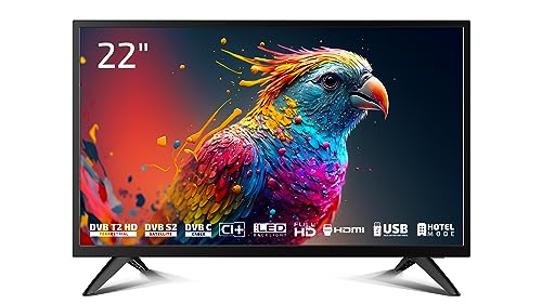 DYON Enter 22 Pro X2 55 cm (22 Zoll) Full-HD Fernseher (Triple Tuner (DVB-C/-S2/-T2), Hotelmodus, USB-Media Player) [Modelljahr 2023], Schwarz von DYON