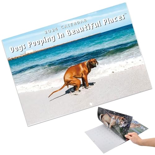 Lustiger Neujahrskalender Pooping Dogs Calendar 2024 Hundescheißkalender Wandkalender Dogs Pooping in Beautiful Places Calendar Hundekotkalender für Zuhause, Hostel oder Büro(B) von DabbOo