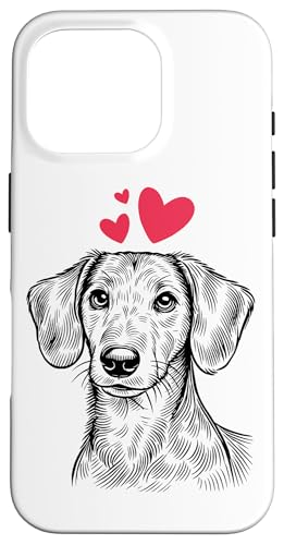 Dackel Hundebesitzer Rauhaardackel Dickköpfiger Lustige Hund Hülle für iPhone 16 Pro Dackel Hundebesitzer Rauhaardackel Dickköpfiger Lustige Hund Hülle für iPhone 16 Pro von Dackel Sarkasmus Hundeliebhaber Haustier Hunde