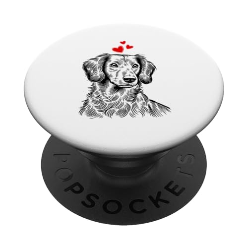 Dackel Hundebesitzer Rauhaardackel Dickköpfiger Lustige Hund PopSockets Klebender PopGrip Dackel Hundebesitzer Rauhaardackel Dickköpfiger Lustige Hund PopSockets Klebender PopGrip von Dackel Sarkasmus Hundeliebhaber Haustier Hunde