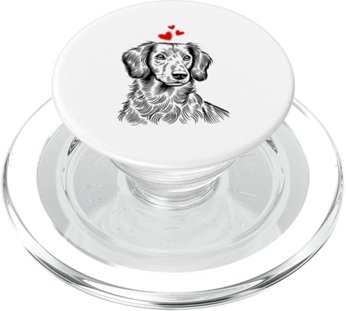 Dackel Hundebesitzer Rauhaardackel Dickköpfiger Lustige Hund PopSockets PopGrip für MagSafe Dackel Hundebesitzer Rauhaardackel Dickköpfiger Lustige Hund PopSockets PopGrip für MagSafe von Dackel Sarkasmus Hundeliebhaber Haustier Hunde