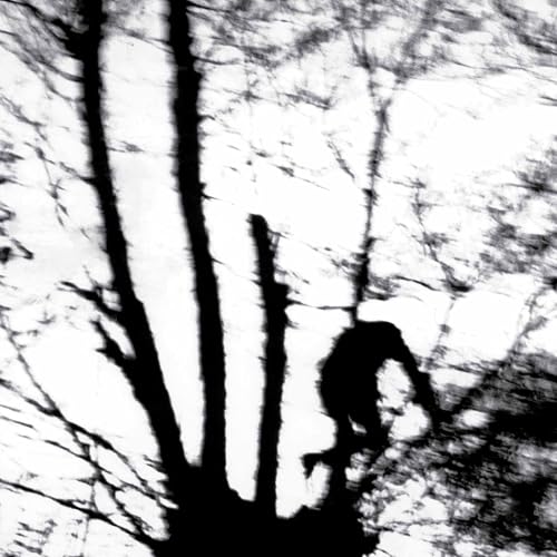 Camouflage Heart (Transparent Clear Vinyl) [Vinyl LP] von Dais / Cargo
