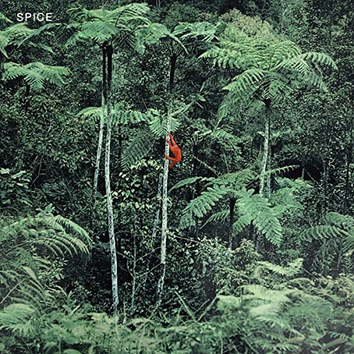 Spice (Ltd. Clear Blue Vinyl) [Vinyl LP] von Dais