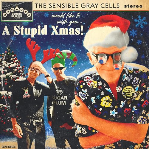 A Stupid Xmas c/w Keep It To Yourself [7" VINYL] [Vinyl LP] von Damaged Goods