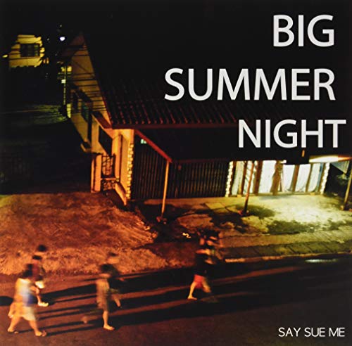 Big Summer Night (RSD 2019) [VINYL] [Vinyl LP] von Damnably