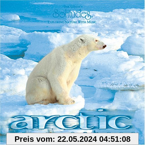 Arctic Echoes von Dan [Solitudes] Gibson