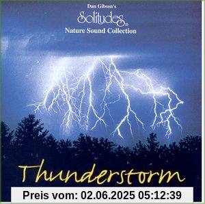 Thunderstorm von Dan Gibson