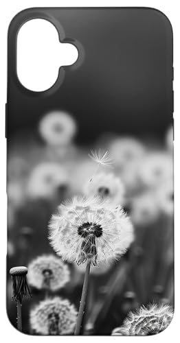 Pusteblume Blumen Feld schwarz Hülle für iPhone 16 Plus Pusteblume Blumen Feld schwarz Hülle für iPhone 16 Plus von Dandelion Flower Floral Accessories