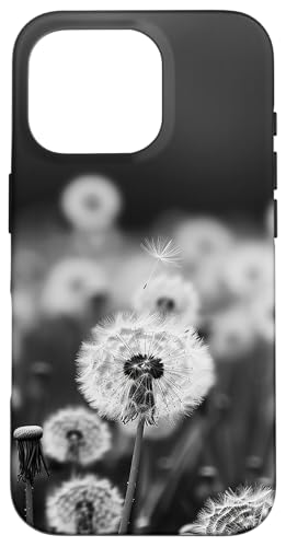 Pusteblume Blumen Feld schwarz Hülle für iPhone 16 Pro Pusteblume Blumen Feld schwarz Hülle für iPhone 16 Pro von Dandelion Flower Floral Accessories