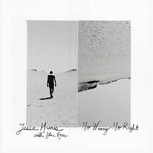No Wrong No Right [Vinyl LP] von Dangerbird