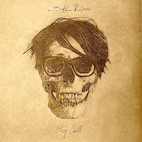 Stay Gold [Vinyl LP] von Dangerbird