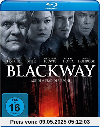 Blackway - Auf dem Pfad der Rache [Blu-ray] von Daniel Alfredson