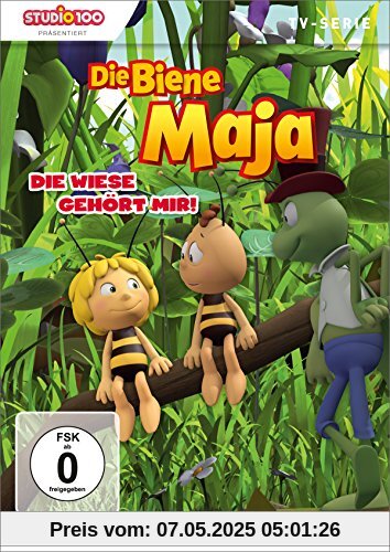 Die Biene Maja 19: Die Wiese gehört mir! von Daniel Duda