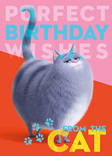 Danilo Promotions LTD Happy Birthday Card from the Cat, Happy Birthday from the Cat Card, Cat Mum Geburtstagskarten, Cat Love Geburtstagskarte von Danilo Promotions LTD