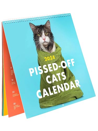 Pissed-Off Cats Kalender 2024 Katzenkalender, Wandkalender 2024, Süßer Lustiger Katzen-Wandkalender For Aufhängen, Monatliches Format, Dekorative Lustige Wandkunst von Dankek