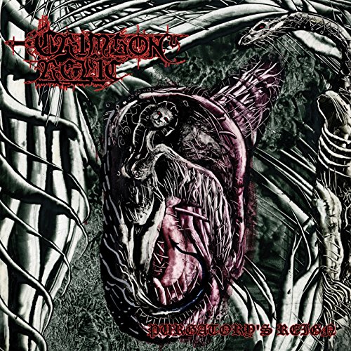 Purgatory'S Reign von Dark Descent Records (Soulfood)