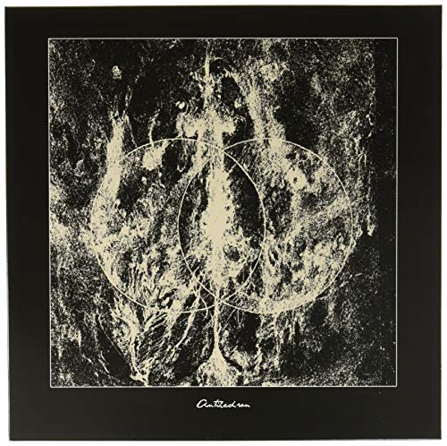 Antihedron [Vinyl LP] von Dark Descent