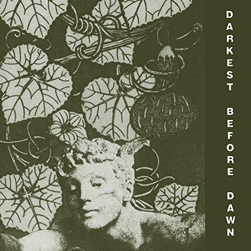 Darkest Before Dawn Lp von Dark Entries