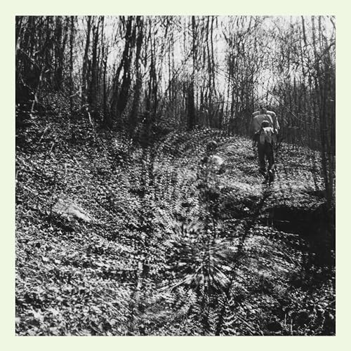 Interior Spring [VINYL] [Vinyl LP] von Dark Entries