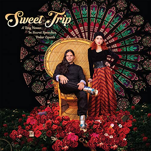 A Tiny House, In Secret Speeches, Polar Equals (Cover Option A) [Vinyl LP] von Darla Records