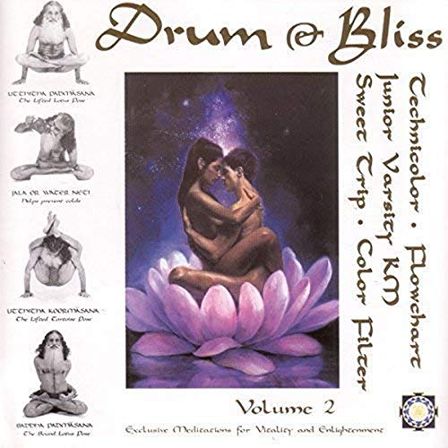 Drum & Bliss 2 (Various Artists) [Vinyl LP] von Darla Records
