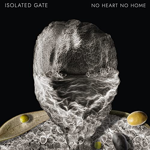 No Heart No Home [Vinyl LP] von Darla Records