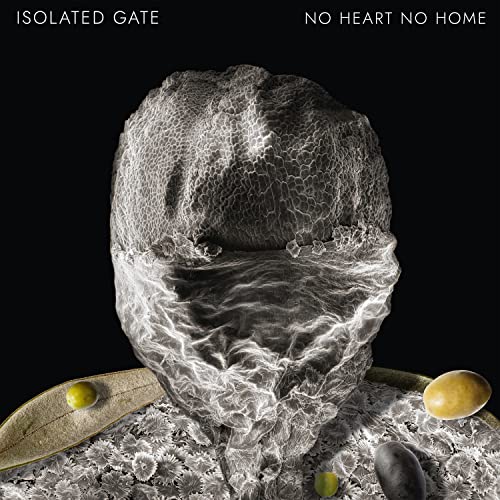 No Heart No Home [VINYL] [Vinyl LP] von Darla Records
