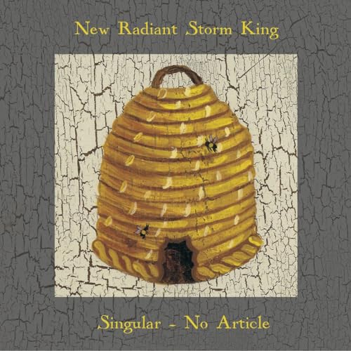 Singular, No Article [Vinyl LP] von Darla Records