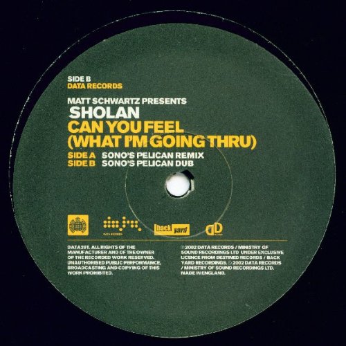 Can You Feel [Vinyl Single] von Data