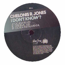 I Don't Know? [Vinyl Single] von Data