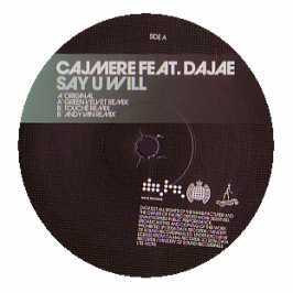 Say U Will [Vinyl Single] von DataCal