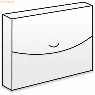 10 x Dataplus Sammelbox Trend A4 PP natur-transparent 10 x Dataplus Sammelbox Trend A4 PP natur-transparent von Dataplus