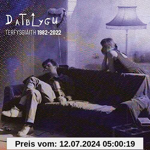 Terfysgiaith 1982-2022 (3xCD) von Datblygu