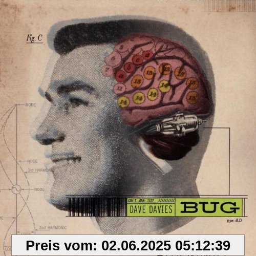 Bug von Dave Davies