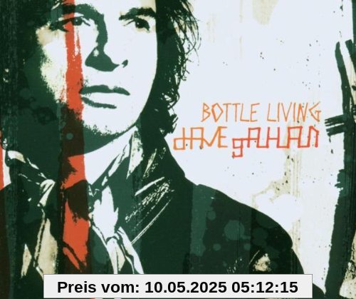 Bottle Living/Hold on von Dave Gahan