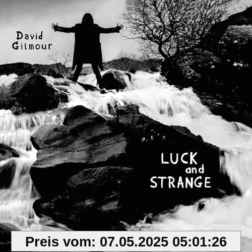 Luck and Strange (Vinyl) [Vinyl LP] von David Gilmour