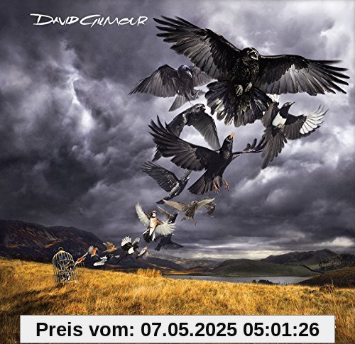 Rattle That Lock [Vinyl LP] [Vinyl LP] von David Gilmour