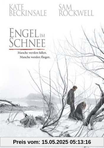 Engel im Schnee Engel im Schnee von David Gordon Green