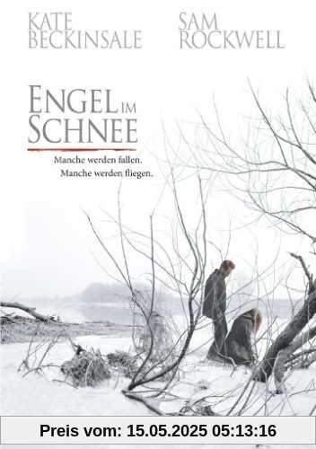 Engel im Schnee von David Gordon Green