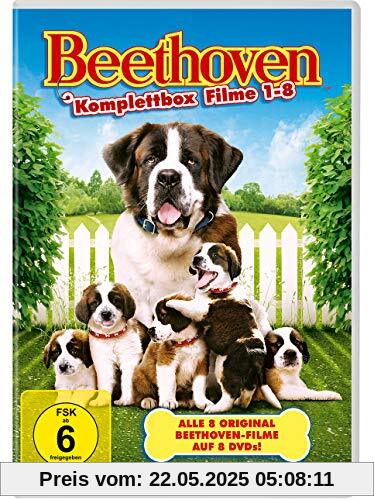 Beethoven Komplettbox [8 DVDs] von Evans, David Mickey