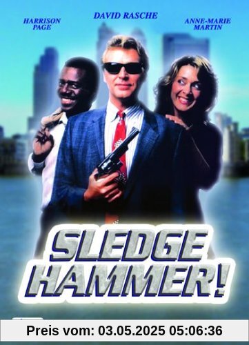 Sledge Hammer! - Movie Only Edition [6 DVDs] von David Rasche
