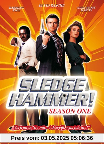 Sledge Hammer! - Season One [3 DVDs] von David Rasche