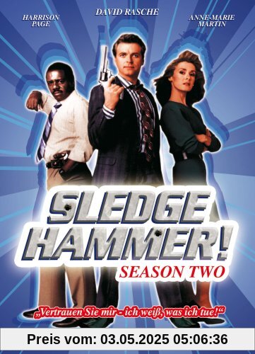 Sledge Hammer! - Season Two [3 DVDs] von David Rasche