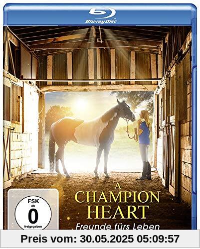 A Champion Heart - Freunde fürs Leben [Blu-ray] von David de Vos