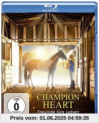 A Champion Heart - Freunde fürs Leben [Blu-ray] von David de Vos